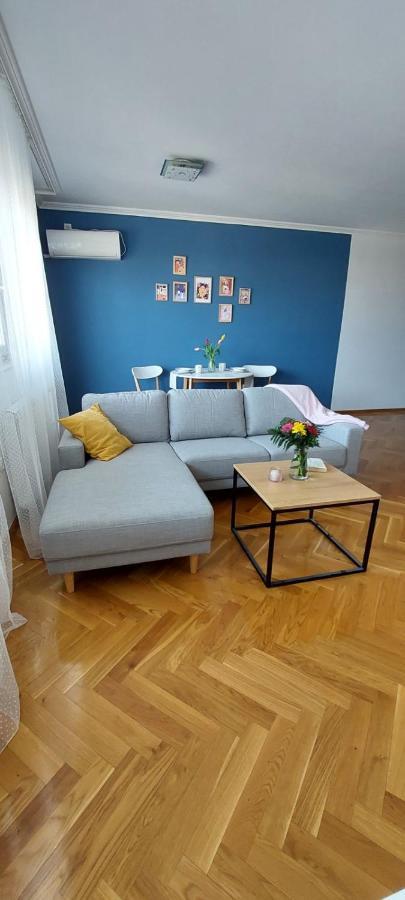 Plavi Zec Apartment