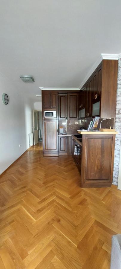 Apartment Plavi Zec