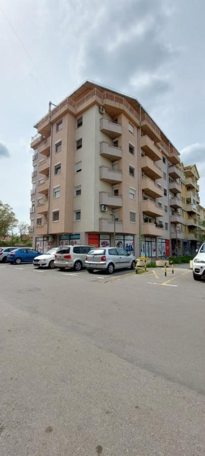 Plavi Zec *